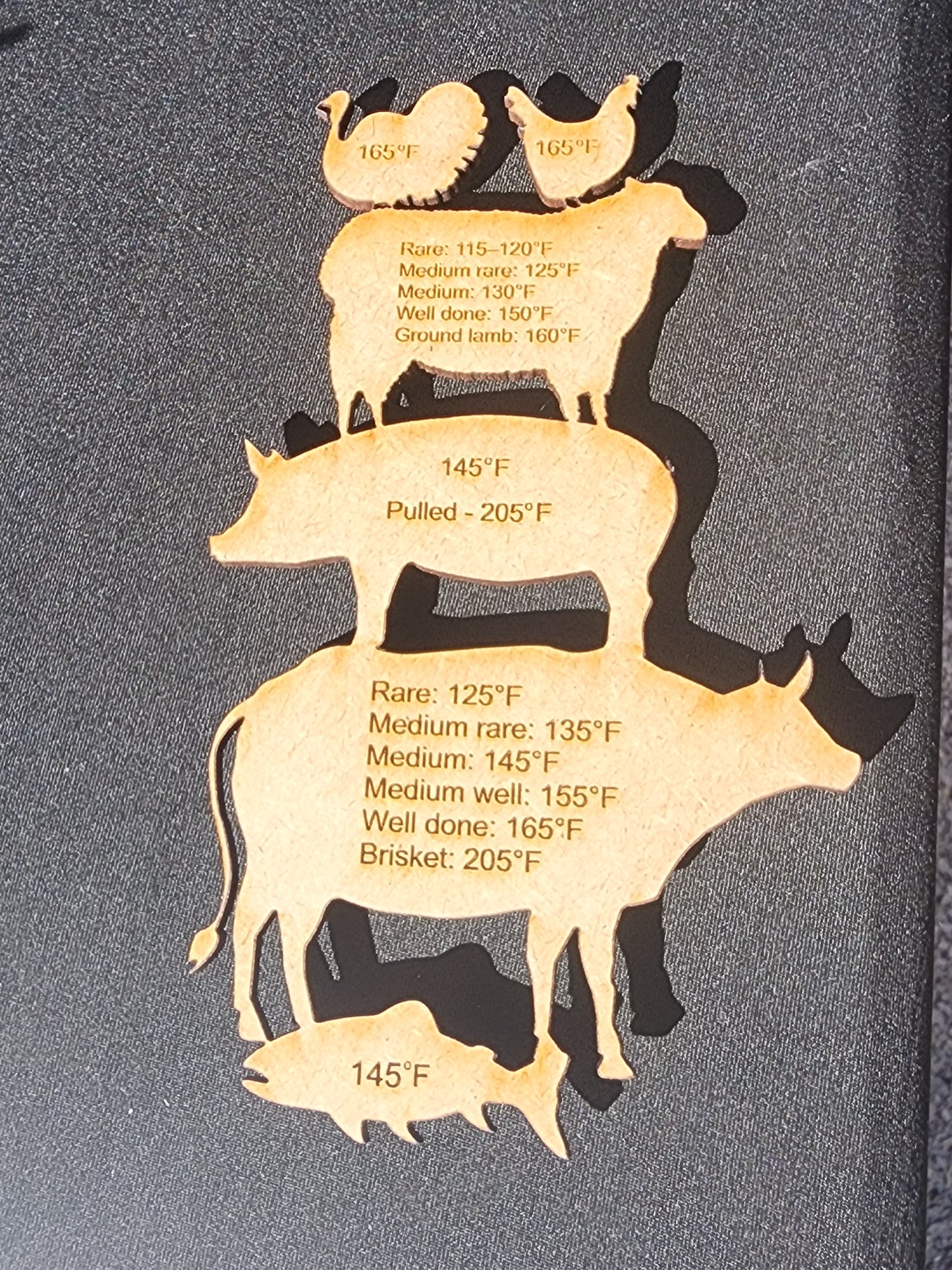 Meat temperature magnet