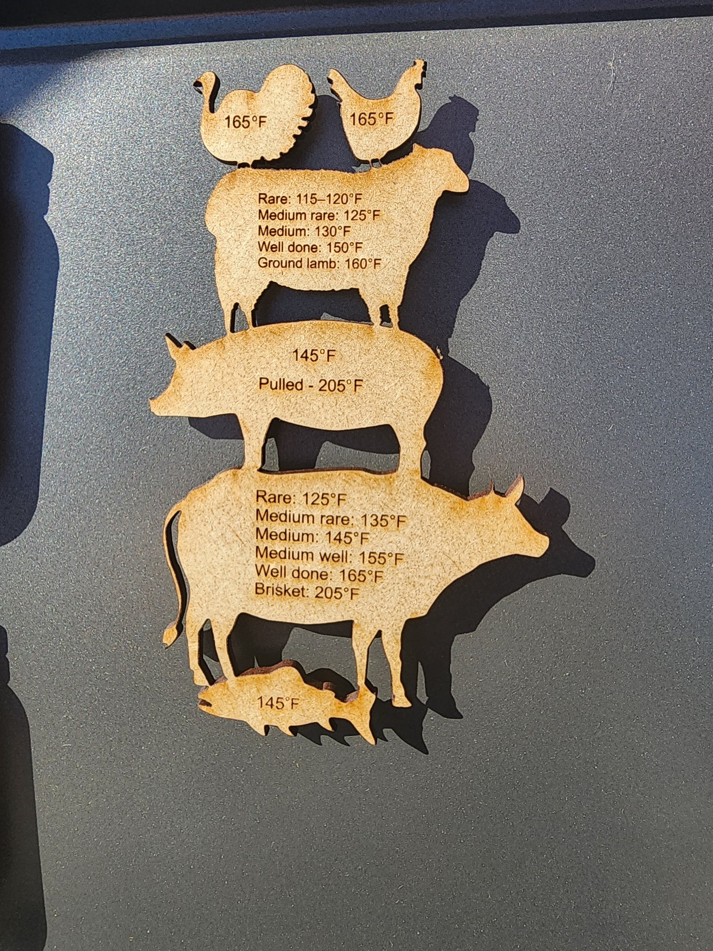 Meat temperature magnet